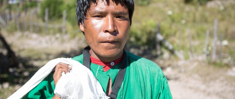 Whistled Languages