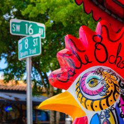 Learn Spanish Miami Food Tour