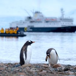 Where Do Accents Come From? Antarctic accents