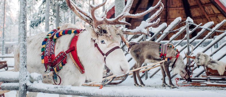 Scandinavian Christmas traditions